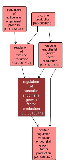 GO:0010574 - regulation of vascular endothelial growth factor production (interactive image map)