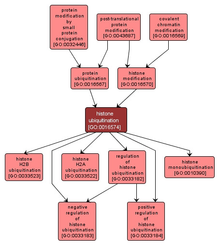 GO:0016574 - histone ubiquitination (interactive image map)