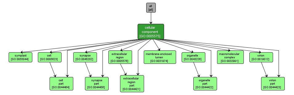 GO:0005575 - cellular_component (interactive image map)