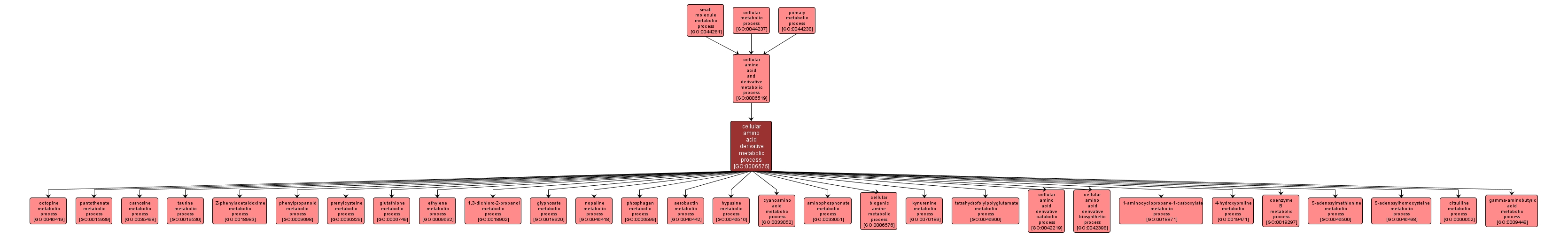 GO:0006575 - cellular amino acid derivative metabolic process (interactive image map)