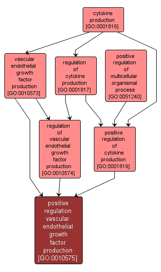 GO:0010575 - positive regulation vascular endothelial growth factor production (interactive image map)