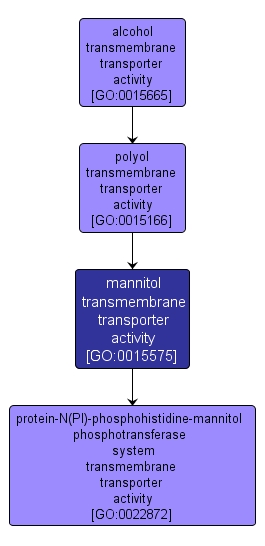 GO:0015575 - mannitol transmembrane transporter activity (interactive image map)