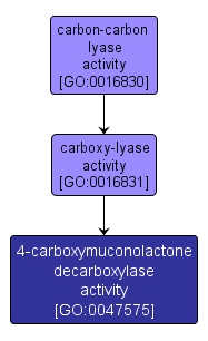 GO:0047575 - 4-carboxymuconolactone decarboxylase activity (interactive image map)