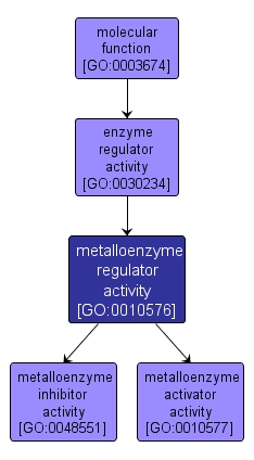 GO:0010576 - metalloenzyme regulator activity (interactive image map)