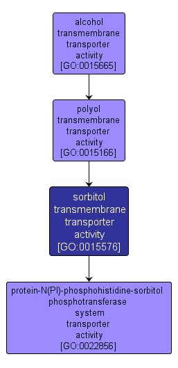 GO:0015576 - sorbitol transmembrane transporter activity (interactive image map)