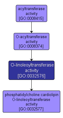 GO:0032576 - O-linoleoyltransferase activity (interactive image map)
