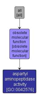 GO:0042576 - aspartyl aminopeptidase activity (interactive image map)