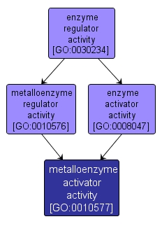 GO:0010577 - metalloenzyme activator activity (interactive image map)