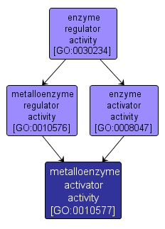 GO:0010577 - metalloenzyme activator activity (interactive image map)
