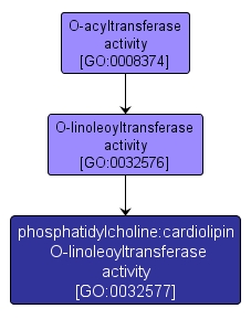 GO:0032577 - phosphatidylcholine:cardiolipin O-linoleoyltransferase activity (interactive image map)