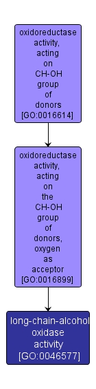 GO:0046577 - long-chain-alcohol oxidase activity (interactive image map)