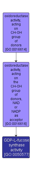 GO:0050577 - GDP-L-fucose synthase activity (interactive image map)