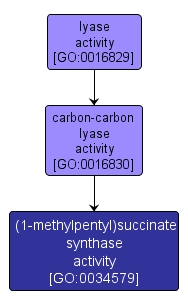 GO:0034579 - (1-methylpentyl)succinate synthase activity (interactive image map)