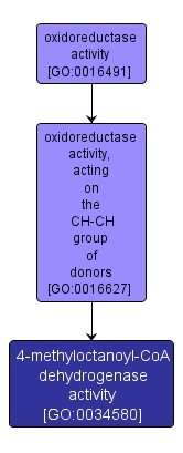 GO:0034580 - 4-methyloctanoyl-CoA dehydrogenase activity (interactive image map)