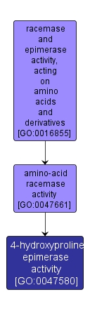 GO:0047580 - 4-hydroxyproline epimerase activity (interactive image map)