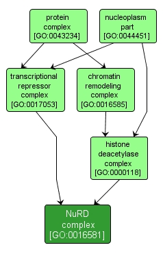 GO:0016581 - NuRD complex (interactive image map)