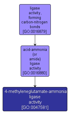 GO:0047581 - 4-methyleneglutamate-ammonia ligase activity (interactive image map)