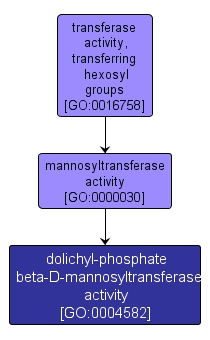 GO:0004582 - dolichyl-phosphate beta-D-mannosyltransferase activity (interactive image map)