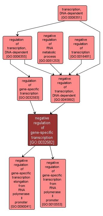 GO:0032582 - negative regulation of gene-specific transcription (interactive image map)