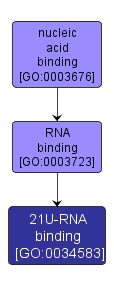 GO:0034583 - 21U-RNA binding (interactive image map)