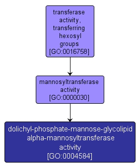 GO:0004584 - dolichyl-phosphate-mannose-glycolipid alpha-mannosyltransferase activity (interactive image map)