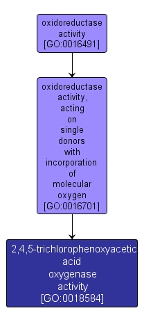 GO:0018584 - 2,4,5-trichlorophenoxyacetic acid oxygenase activity (interactive image map)