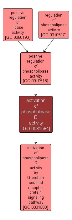 GO:0031584 - activation of phospholipase D activity (interactive image map)