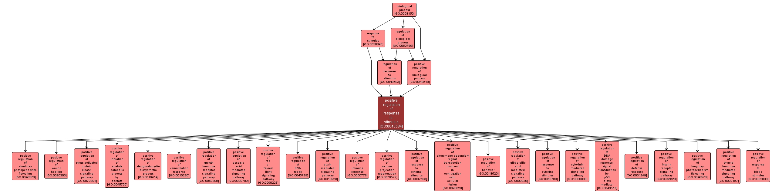 GO:0048584 - positive regulation of response to stimulus (interactive image map)