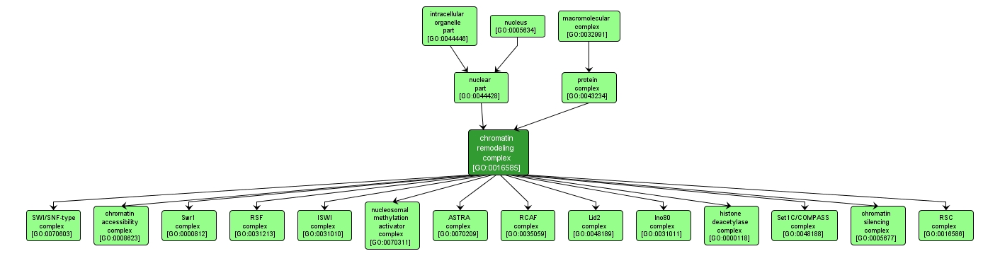 GO:0016585 - chromatin remodeling complex (interactive image map)