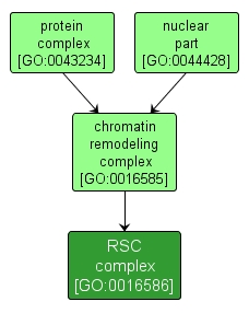 GO:0016586 - RSC complex (interactive image map)