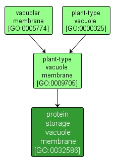 GO:0032586 - protein storage vacuole membrane (interactive image map)