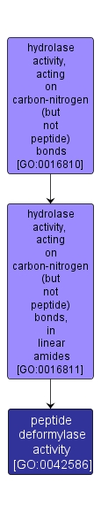 GO:0042586 - peptide deformylase activity (interactive image map)