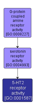 GO:0001587 - 5-HT2 receptor activity (interactive image map)