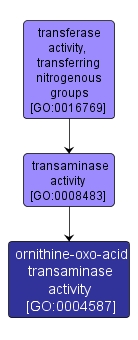 GO:0004587 - ornithine-oxo-acid transaminase activity (interactive image map)