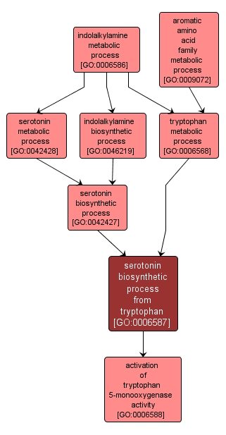 GO:0006587 - serotonin biosynthetic process from tryptophan (interactive image map)