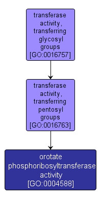 GO:0004588 - orotate phosphoribosyltransferase activity (interactive image map)