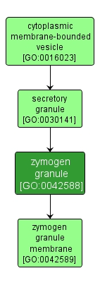 GO:0042588 - zymogen granule (interactive image map)