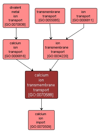 GO:0070588 - calcium ion transmembrane transport (interactive image map)