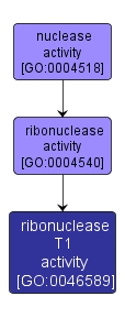 GO:0046589 - ribonuclease T1 activity (interactive image map)