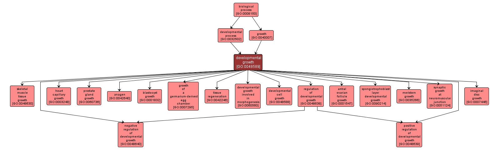 GO:0048589 - developmental growth (interactive image map)