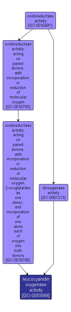 GO:0050589 - leucocyanidin oxygenase activity (interactive image map)