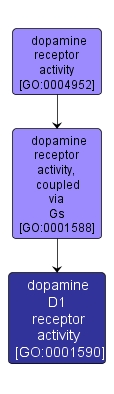 GO:0001590 - dopamine D1 receptor activity (interactive image map)