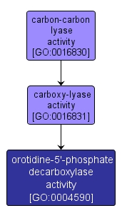 GO:0004590 - orotidine-5'-phosphate decarboxylase activity (interactive image map)
