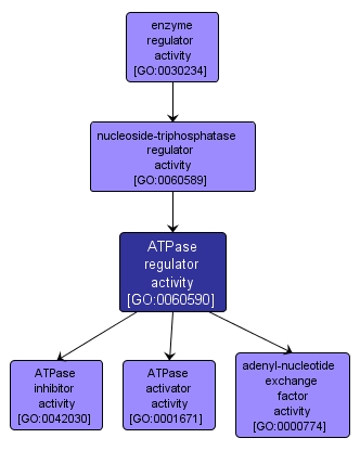 GO:0060590 - ATPase regulator activity (interactive image map)