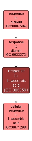 GO:0033591 - response to L-ascorbic acid (interactive image map)