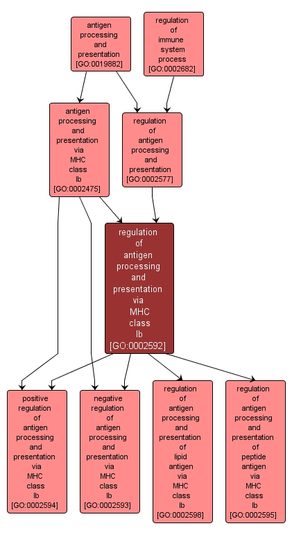 GO:0002592 - regulation of antigen processing and presentation via MHC class Ib (interactive image map)