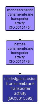 GO:0015592 - methylgalactoside transmembrane transporter activity (interactive image map)