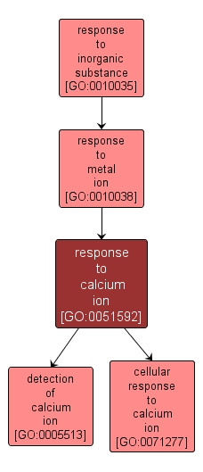 GO:0051592 - response to calcium ion (interactive image map)