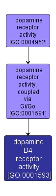GO:0001593 - dopamine D4 receptor activity (interactive image map)