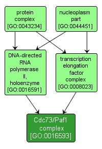 GO:0016593 - Cdc73/Paf1 complex (interactive image map)